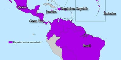 Mapa de xamaica zika